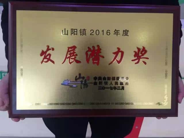 2016年度發展潛力獎